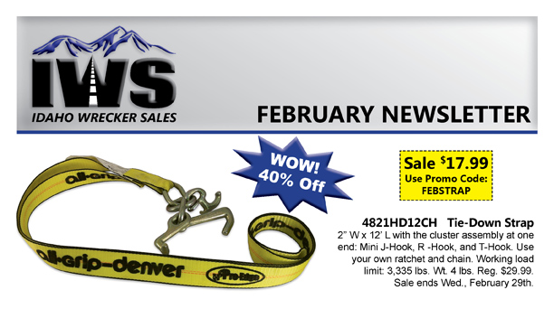 Tie Down Strap for $17.99
